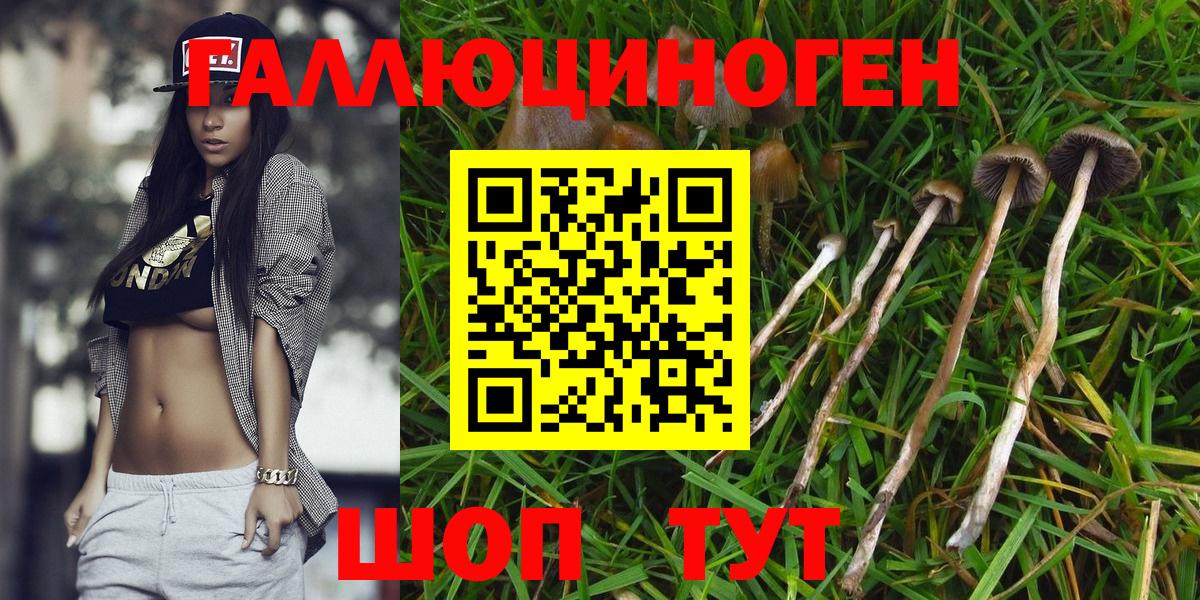 Псилоцибиновые грибы прущие грибы  Псилоцибиновые грибы мицелий  Саранск  Вход с VPN 